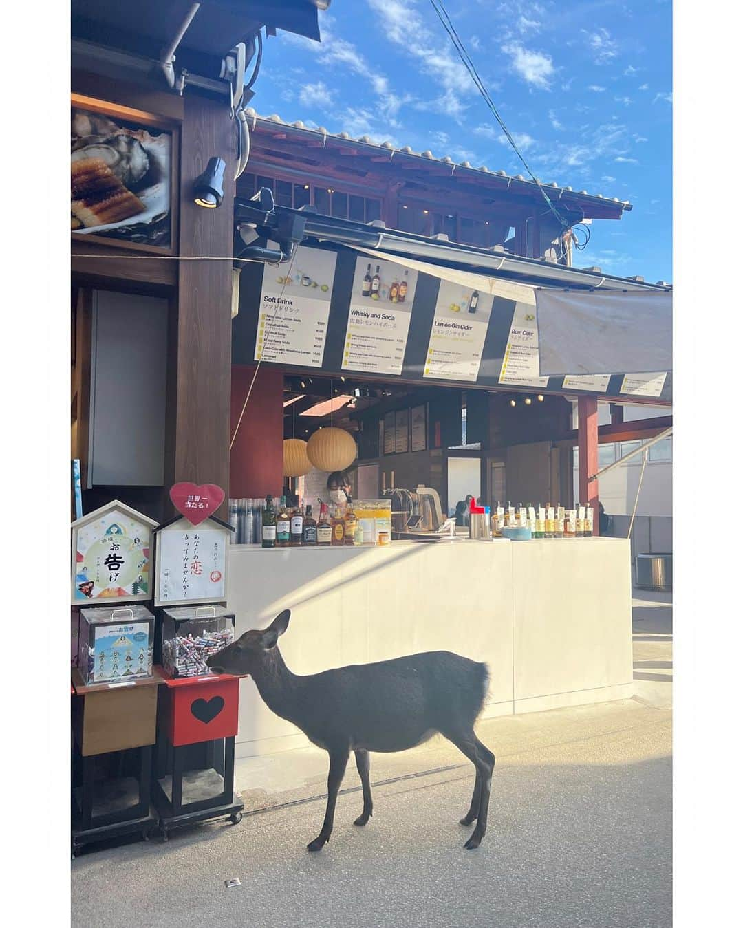 平原綾香のインスタグラム：「シカさん キミも恋のゆくえが気になるのかい？  「多くの女性を愛した人間よりも たった一人の女性だけを愛した 人間のほうがはるかに 深く女というものを知っている」 ロシアの小説家 思想家 トルストイの言葉  フジテレビ 空旅をあなたへ-PREMIUM SKY- 関東ローカル #3 広島宮島編22:54〜この後すぐ」