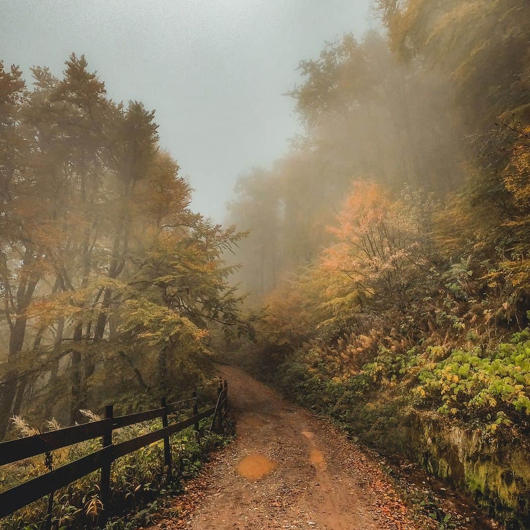 Discoveryのインスタグラム：「That late autumn mood, captured in #Serbia 🍂  📷: Milan Markovic  #lateautumnvibes」