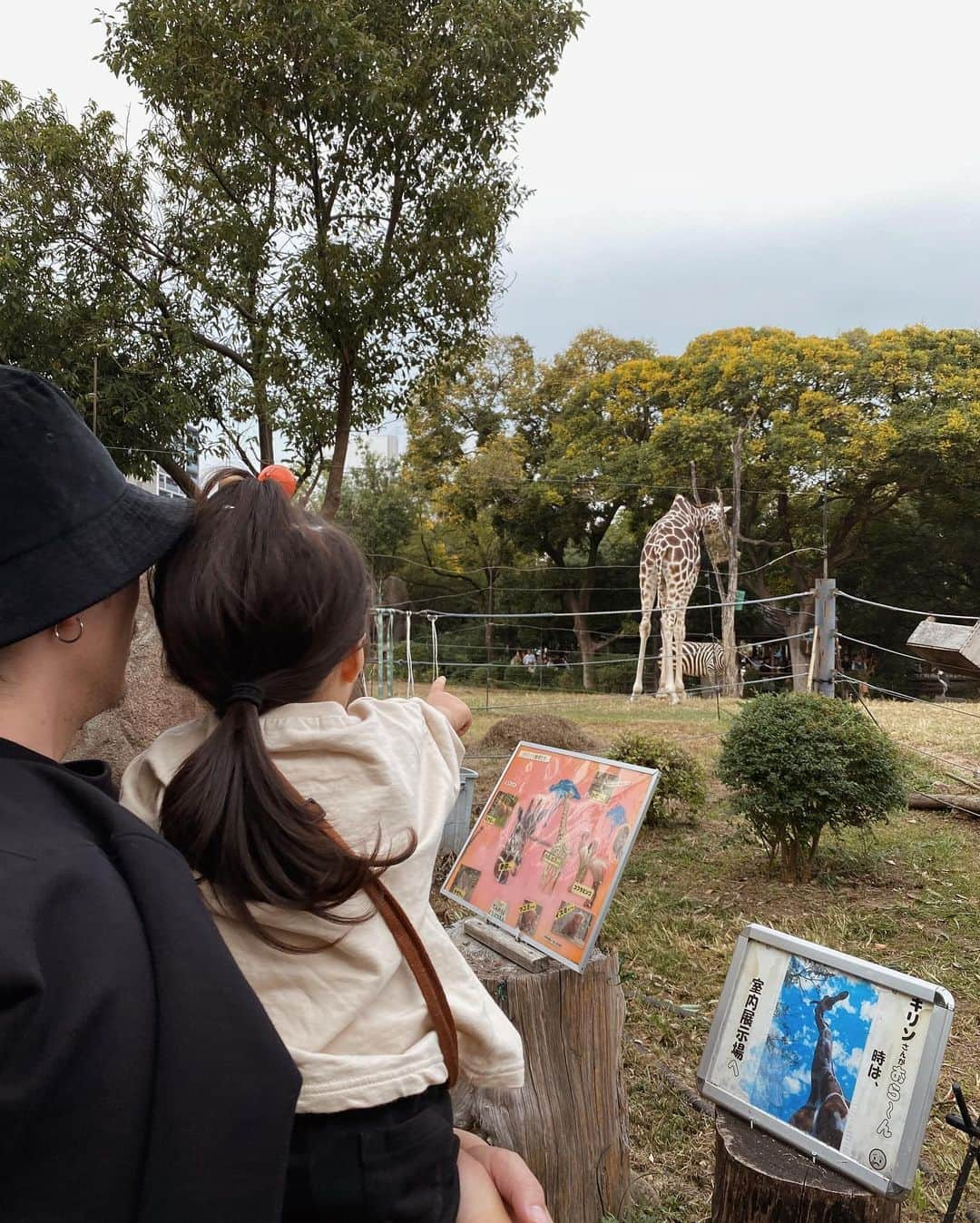 石川マリーさんのインスタグラム写真 - (石川マリーInstagram)「動物園にいってきたよ🐅🦌🐘🦒  この日はとっても暖かったからかき氷を食べたの🍧 かき氷食べる時はこんなに大きなお口が開くのね🤣  前回行ったときよりも動物たちに興味津々で 「次行こうか？」って言ってもイヤイヤして しばらくじーっと眺める👀ってのを繰り返してた！！ ライオンを見たら「がおー！！」ってやったり 成長を感じられた一日😌✨  でもね、YouTubeで恐竜を見過ぎて もしかしたら動物を恐竜だと思っていたかもしれない🤣 ． ． ． ． ． ． ． #天王寺動物園 #動物園 #大阪 #ママ #ママライフ #ママスタグラム #女の子ママ #アラフォーママ #大阪ママ #関西ママ #こどものいる暮らし #子供のいる暮らし #2歳 #2歳女の子 #zoo #osaka」11月16日 23時11分 - marieishikawa