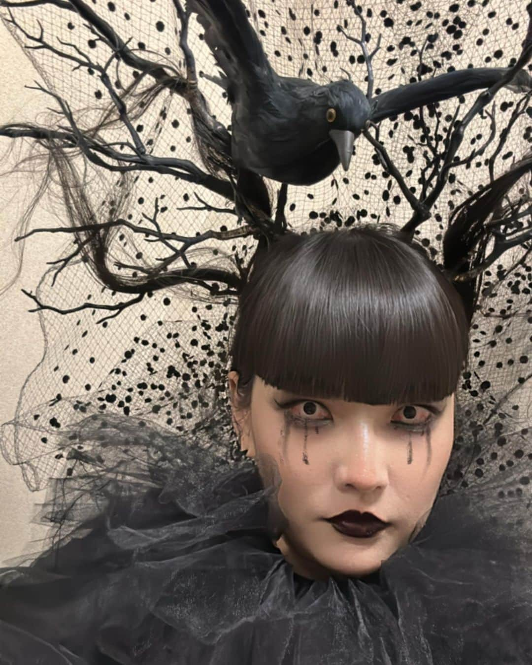 秋元梢さんのインスタグラム写真 - (秋元梢Instagram)「✂️2023 SHIMA HAIR SHOW ✂️ ⛓️💀🔪🩸Yuya Nara Stage／Horror🐦‍⬛👁️🕸️🍷 我らが奈良様にお呼ばれしたので、、、🧛🏻‍♀️🧟‍♀️ #SHIMA #奈良裕也 #🐦‍⬛ #愛しの姪に泣かれました #こっちゃんなんでさっき顔怖かったの？」11月16日 23時19分 - akimoto_kozue