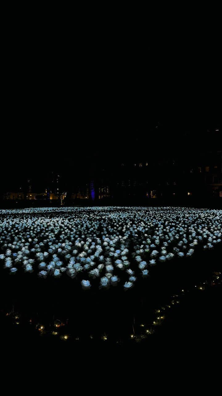 アニヤハインドマーチのインスタグラム：「Every year Grosvenor Square in London lights up with thousands of white illuminated roses dedicated to the memory of a loved one. It’s a place to reflect at Christmas in amongst all the festive cheer, and in doing so raise money for the incredible institution that is @RoyalMarsden.   The @everaftergarden is free to visit and you can dedicate a rose to someone you miss for £10. You can also donate online and your dedication will be added to the garden. #AnyaHindmarch」