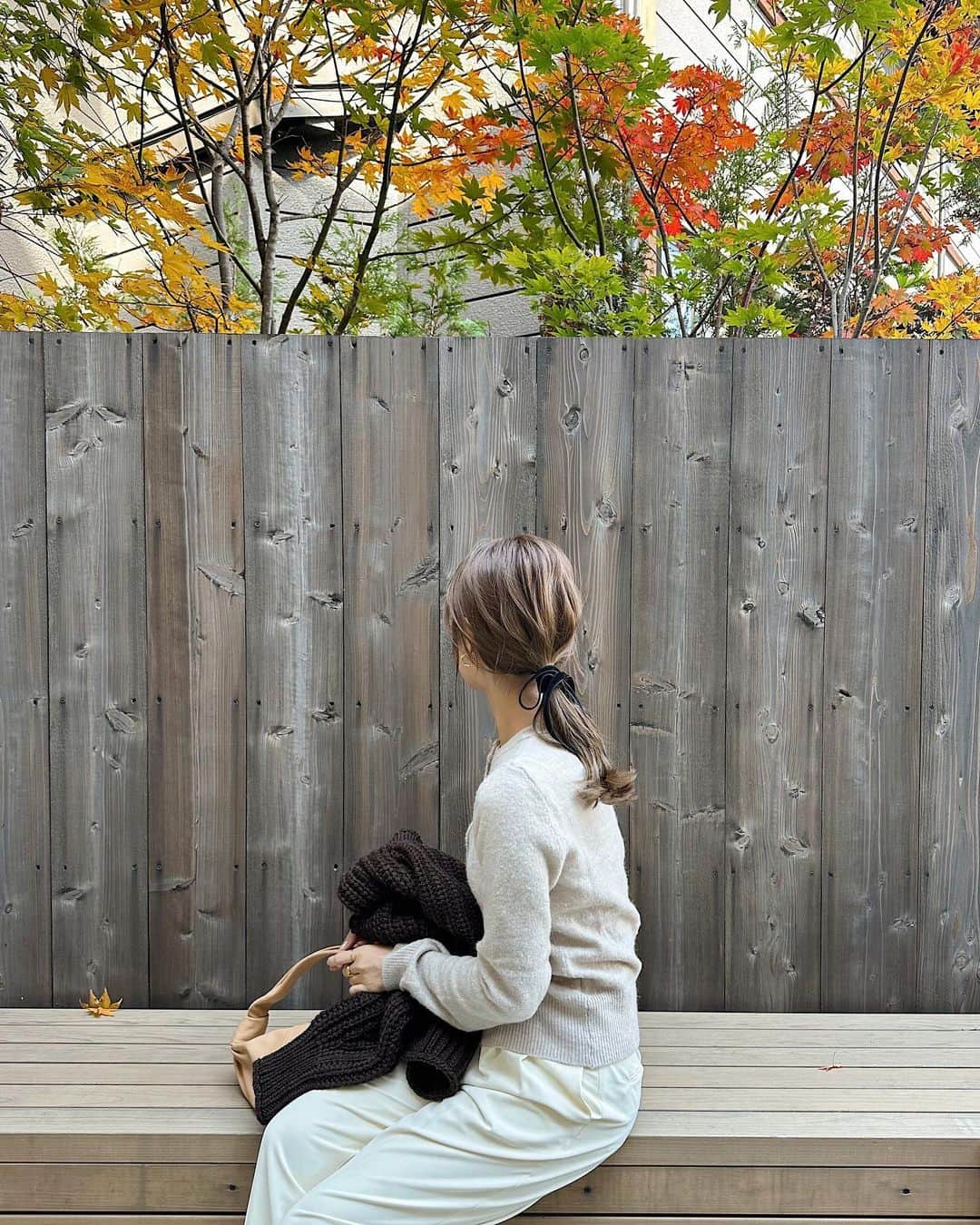 小川陽香さんのインスタグラム写真 - (小川陽香Instagram)「🧶🍁🍂🤎 ㅤ ㅤㅤちょっと紅葉 🤏🏻 ㅤ カーディガンは @hm でめっちゃお安くGETしたやつ🪡 色はライトベージュです♡（3枚目に詳細載せてます🧾）  ㅤ #私服 #紅葉 #秋服コーデ #私服コーデ #イエベ春 #骨格ウェーブ  #ベロアリボン #ヘアアレンジ #ロングヘアー  ㅤ」11月16日 23時54分 - _haruka824