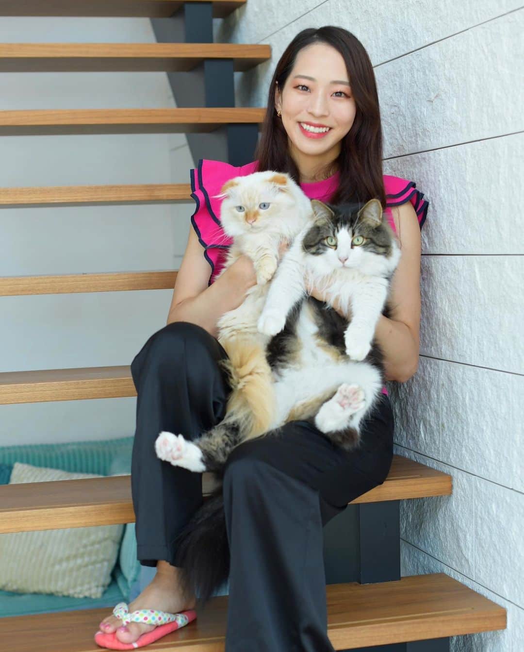 野口啓代さんのインスタグラム写真 - (野口啓代Instagram)「人生の相棒🐈🐾 週刊現代さんの取材で、はじめて猫達と共演！ 素敵なお写真を頂いたので使わせて貰います☺️🫶🏻 なかなかみんな揃って撮る機会ってないから嬉しい〜💕  と思ったらビビりのラムちゃん(欠席)って•••😂💦 かわりに可愛い写真載せときます🩷」11月17日 0時07分 - noguchi_akiyo