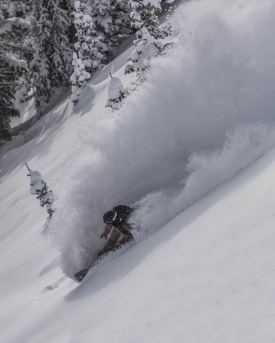 ジミー・チンのインスタグラム：「Athlete or artist?  @jeremyjones carving brushstrokes into a blank canvas.  @protectourwinters」