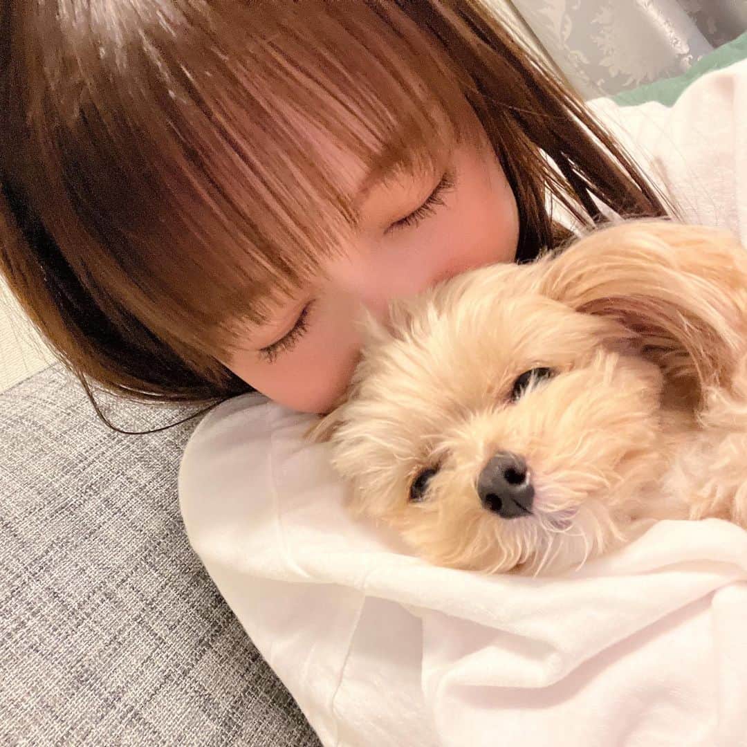 小池唯さんのインスタグラム写真 - (小池唯Instagram)「. あーーーー🥺 愛おしすぎる🐶💘」11月17日 1時30分 - yuikoike_official