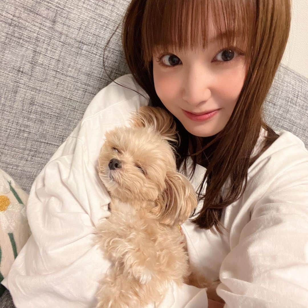 小池唯さんのインスタグラム写真 - (小池唯Instagram)「. あーーーー🥺 愛おしすぎる🐶💘」11月17日 1時30分 - yuikoike_official