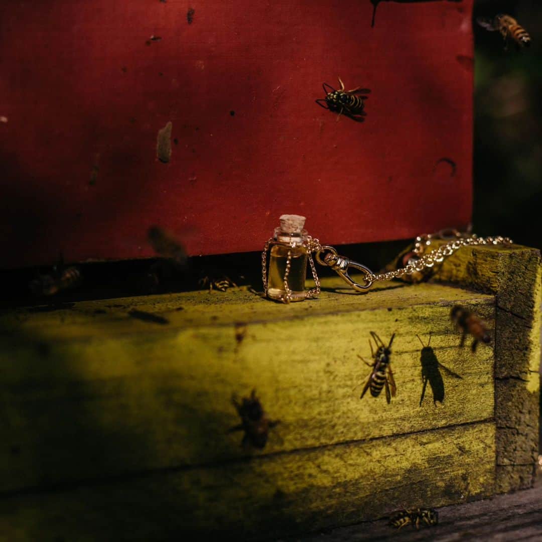 ルル フロストのインスタグラム：「This is how much honey one bee will produce in its entire life: One-twelfth of a TEAspoon. Yes, you read that right!  To honor the work of our incredible bees and the sweetness they bring to all of our lives, we are proud to present our honey charm necklace, created in collaboration with @lulufrost   Our honey charm necklace makes a beautiful holiday gift for a loved one. Wear it and be reminded to pause and reflect on the sweetness of life on our Mother Earth. The nectar of flowers, nourished by the Sun, water and soil, to create a nourishing treat enjoyed by us all.   The tiny jar charm holds the precise amount of Mama Farm honey that one of our bees worked hard to create through her whole time on this Planet (4-6 week life span). The charm is removable from its custom chain, if you wish to clip it elsewhere or mix with other charms. The necklace is $145 and can be ordered lulufrost.com   📷 @michelekats」