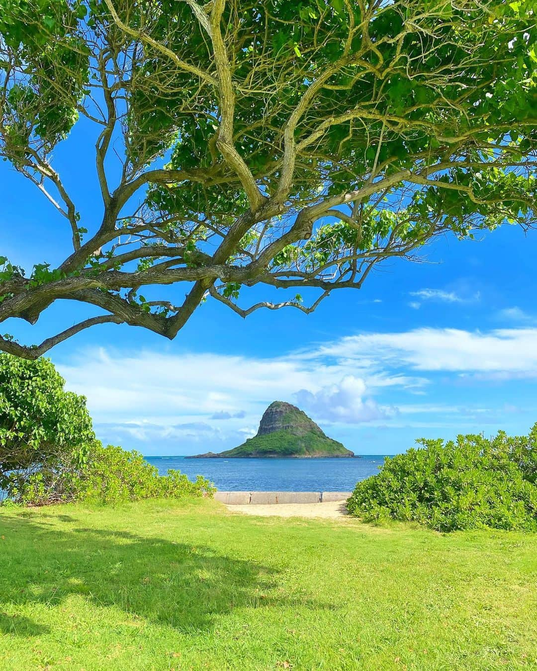 shihoさんのインスタグラム写真 - (shihoInstagram)「💚⛰️💚⛰️💚 ・ 📍Chinaman's Hat ・ #hawaii#islandofoahu#oahu#ハワイ#trip #オアフ島#travel#loco_hawaii#travel_jp #funtorip#タビジョ#旅MUSE#genic_travel #genic_mag#たびねす#旅行#genic_hawaii #chinamanshat#beach#ocean#oahuhawaii #tabijyomap_hawaii#lealeahawaii#2023」11月17日 12時06分 - shiho.ga8