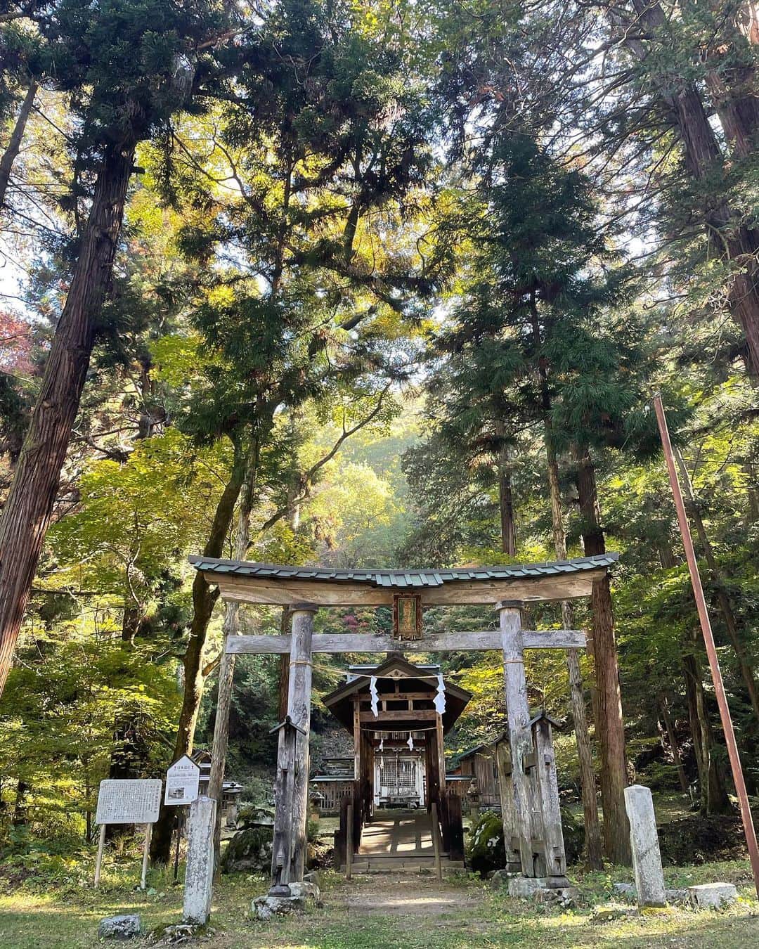 前川泰之のインスタグラム：「先日ロケでお邪魔した神社⛩️  早朝ここへ向かう道すがら、周りは朝靄に包まれて幻想的な雰囲気で✨ 到着したこちらの神社もとにかく雰囲気が凄かった。。  巨岩、巨木も祀られていて日本の原始的な信仰のカタチを感じさせるところでした。  タイムスリップしたような感覚の中で撮影する事ができ、離れがたい時間を過ごさせていただきました。神社好きの僕にとってはたまらんす😤  #神社　#神社好き　#長野県　#ロケ地 #japaneseshrine」