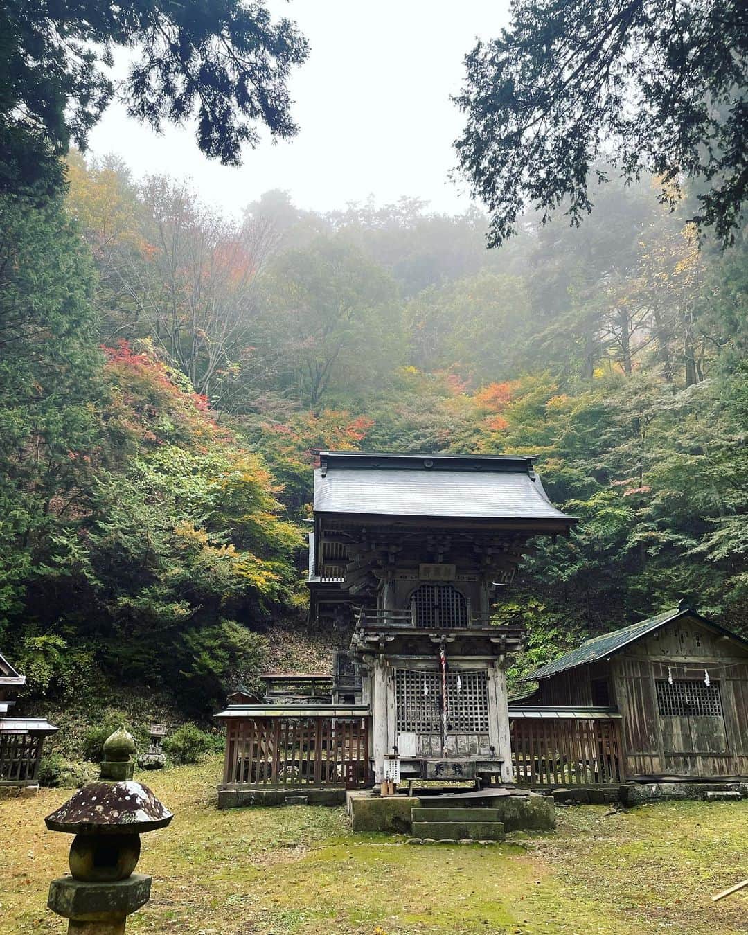 前川泰之さんのインスタグラム写真 - (前川泰之Instagram)「先日ロケでお邪魔した神社⛩️  早朝ここへ向かう道すがら、周りは朝靄に包まれて幻想的な雰囲気で✨ 到着したこちらの神社もとにかく雰囲気が凄かった。。  巨岩、巨木も祀られていて日本の原始的な信仰のカタチを感じさせるところでした。  タイムスリップしたような感覚の中で撮影する事ができ、離れがたい時間を過ごさせていただきました。神社好きの僕にとってはたまらんす😤  #神社　#神社好き　#長野県　#ロケ地 #japaneseshrine」11月17日 12時17分 - maekawa_yasuyuki_official