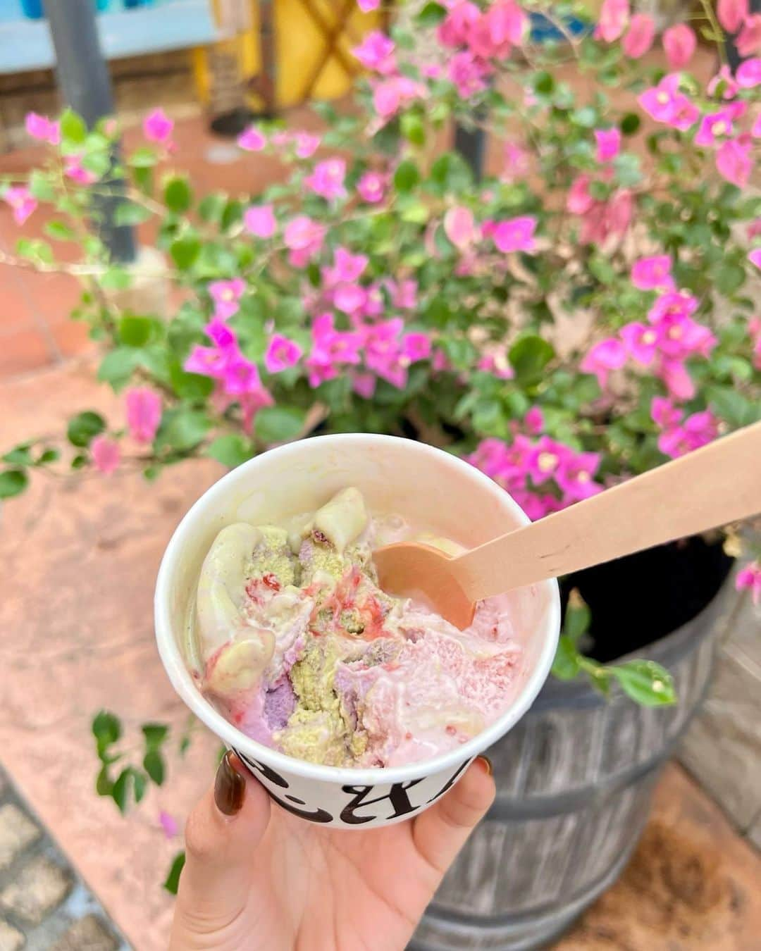 草野春香さんのインスタグラム写真 - (草野春香Instagram)「.🍨🍩🌺🌈💞  𝐙𝐡𝐲𝐯𝐚𝐠𝐨 𝐂𝐨𝐟𝐟𝐞𝐞 𝐑𝐨𝐚𝐬𝐭𝐞𝐫𝐲🚲☕️🇺🇸 ここのコーヒーもだけど アイスも好きで毎回買ってる🍒🥥  #沖縄旅行 #沖縄観光 #okinawa #沖縄 #okinawatrip #americanvillage #アメリカンビレッジ #okinawajapan #沖縄カフェ #北谷カフェ #沖縄カフェ巡り #北谷」11月17日 12時21分 - _haruka030_