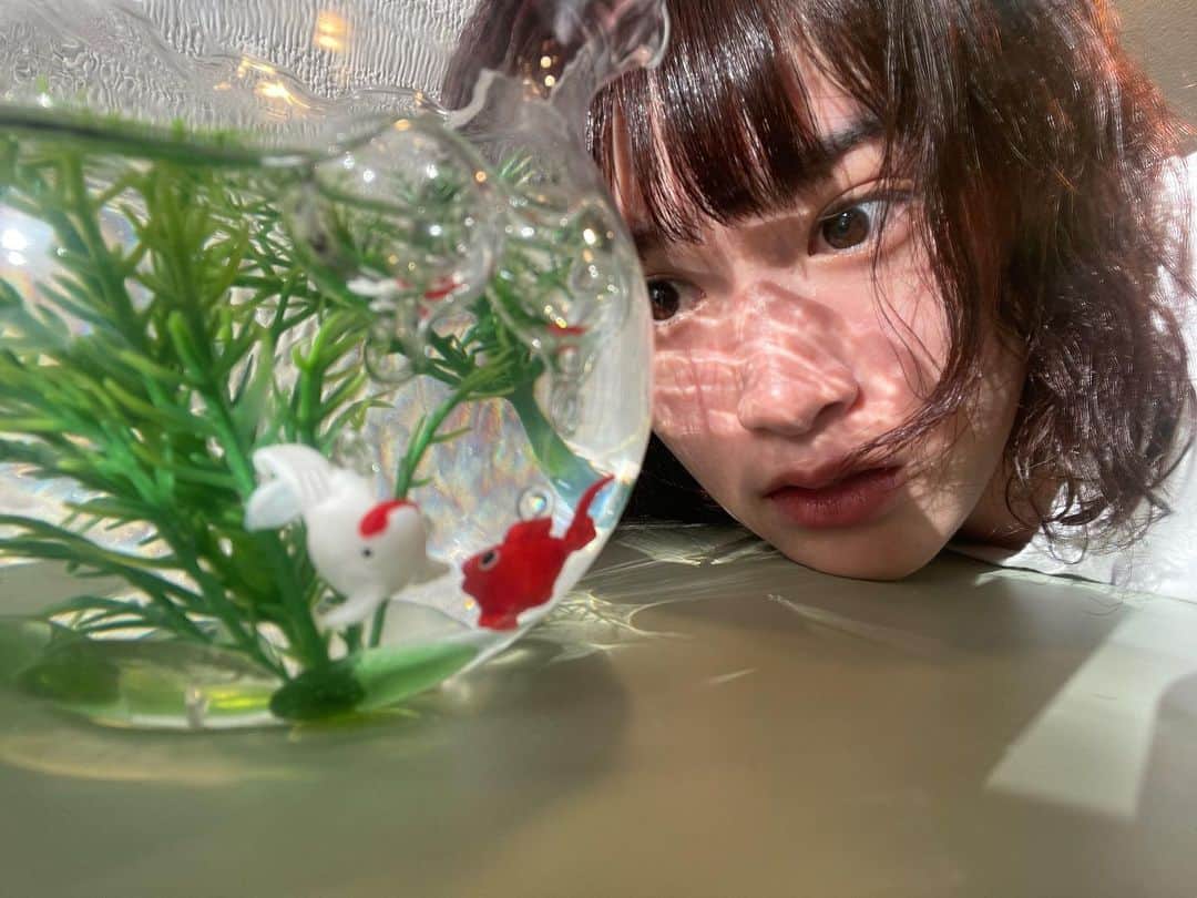 小西桜子さんのインスタグラム写真 - (小西桜子Instagram)「𓆛𓆜𓆝𓆞𓆟  母がくれたガラス細工の金魚、夏が過ぎてふゆになっても大活躍　してる　いつからふゆなのかわかんないけど　ふゆってひらがなの方がふわふわしてて可愛いからひらがなで書きたい　最初は金魚しかいなかったのが、水草とかきれいな石とか百均で買ってきてくれたのを母が会うとくれて、豪華な水槽になった　百均のものをもらうのとか一番うれしい　百均だいすきだし　百円だからきれい　cocoonを観に行った時に買ったティーシャツ、部屋着だけどだいじに着ている　いつも文章とかいろんな人が見てくれてるからすごーく考えちゃって何日も寝かしちゃうけど、今は何もかんがえずただ打ってます　水と光、すきなもの一位と二位かもしれない」11月17日 12時28分 - sakurako_kns