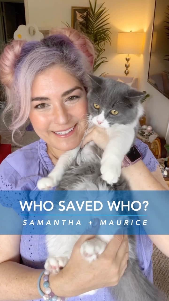 Fresh Stepのインスタグラム：「When Sam was struggling with depression after a surgery, she fell in love with Maurice, who packed lots of healing powers in a fluffy little package. 🐱💙  #catadoption #kitten #catlovers #catrescue #whosavedwho #freshstep」