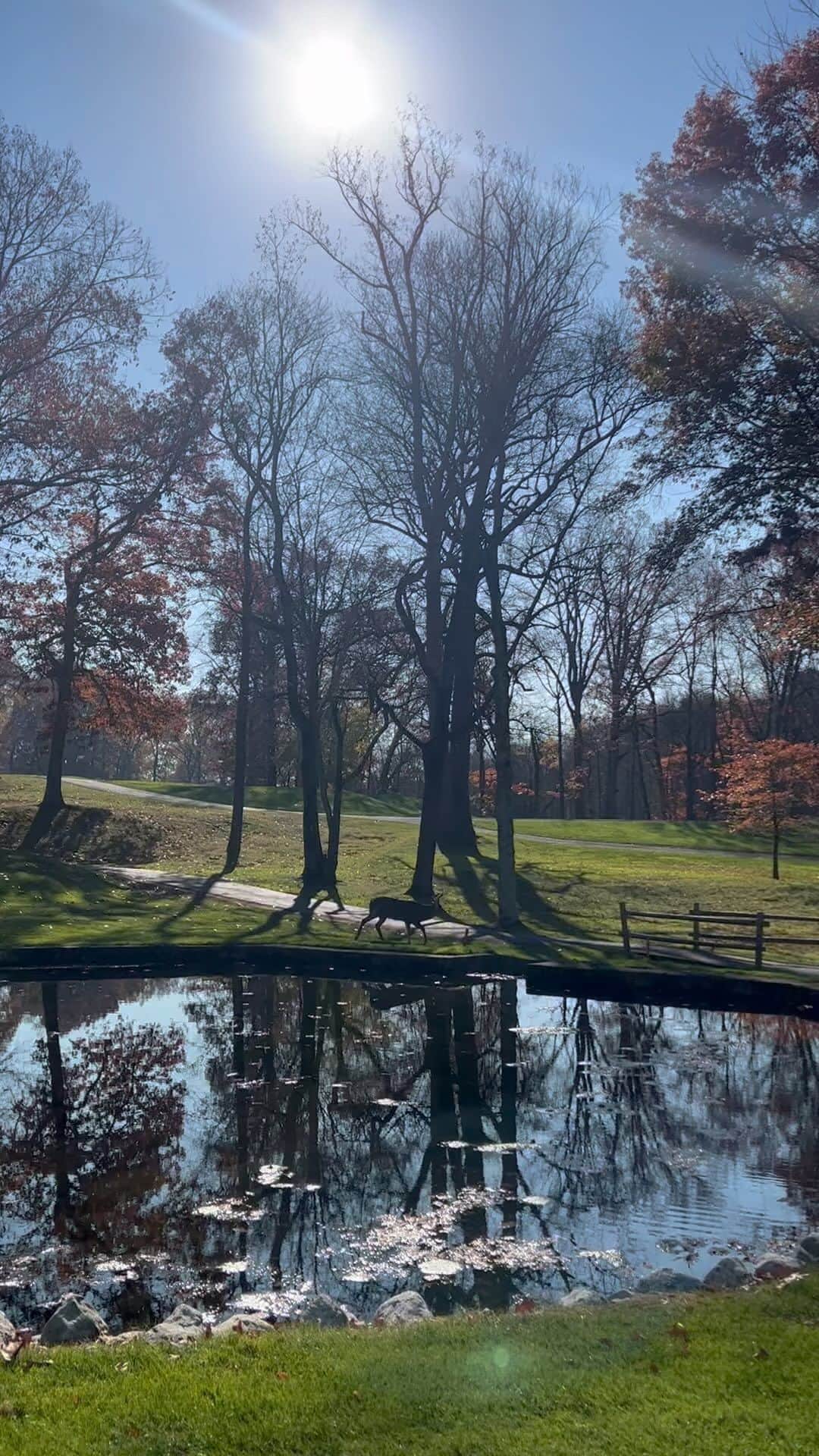 ソン・テヨンのインスタグラム：「#deer 🩷」