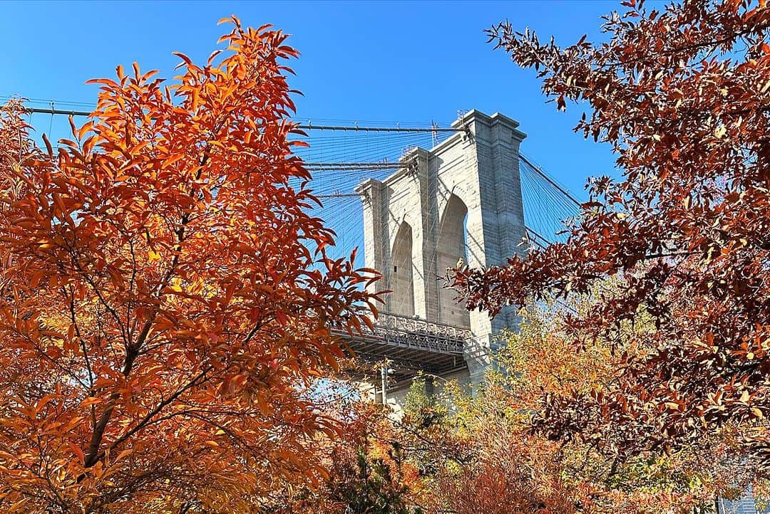 ケイトリン・ウィーバーさんのインスタグラム写真 - (ケイトリン・ウィーバーInstagram)「Inaugural GLIDE at Brooklyn Bridge Park ❄️  Thank you @glidebk @brooklynbridgepark for having me!   📷: Getty images」11月17日 6時44分 - ka2sh