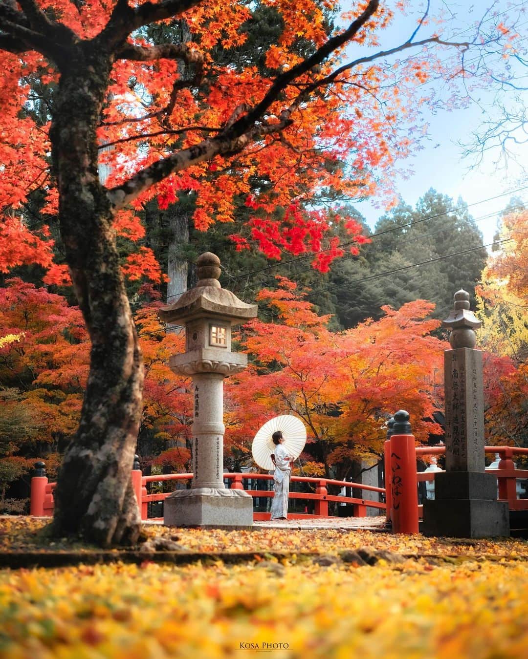コサさんのインスタグラム写真 - (コサInstagram)「今年は、英霊殿の紅葉が美しいタイミングで行くことが出来ました✨ でも、この日は気温が6度まで下がって寒すぎました…🥶 . Location:和歌山 Wakayama /Japan🇯🇵 Date:2023年11月 in frame: @chami_2nd Camera:Z9 24-70mm f2.8 . #tokyocameraclub #art_of_japan_ #nipponpic_member #team_jp_ #bestjapanpics #sorakataphoto #LBJ_KING #invisible_cool_part #広がり同盟メンバー #special_spot_legend #高野山 #英霊殿 #紅葉 #nikoncreators #nikoncreators_2023morningandnight #Japan_Daytime_View #japancityblues #jp_portrait_collection #ポトレファン倶楽部 #ポトレ撮影隊 #jp_mood #jp_portrait部 #clv_galerie #visitwakayama #m_v_shotz #deaf_b_j_ #japan_waphoto #japan_best_pic #raw_japan #みんすと紅葉祭」11月17日 7時12分 - kosa_photo