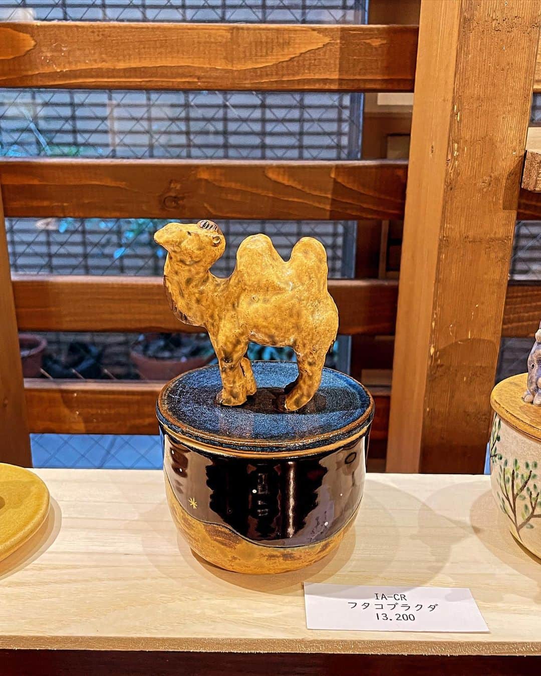 中島静佳さんのインスタグラム写真 - (中島静佳Instagram)「赤坂のギャラリー&カフェで開催されている方舟展へお邪魔してきました。 絶滅危惧種にスポットを当てたハコの世界！ 世界に一つだけのハコ、釉薬の色合いもとても素敵でした。久しぶりにもの作りがしたくなっちゃいました。 陶芸を札幌時代に6年ほど、そして東京に来てからも何年かやっていたのですが、その時の先生のお一人がミヤザワユリカさん。現在は千葉の鎌ヶ谷で作陶活動をされています。 同い年、寅会のメンバーです。（楽しい飲み仲間🎵）  個展は明日土曜日まで赤坂ジャローナで開催されています。 #方舟展#陶芸の個展#toka#ミヤザワユリカ　さん」11月17日 7時59分 - shizuka617nakajima