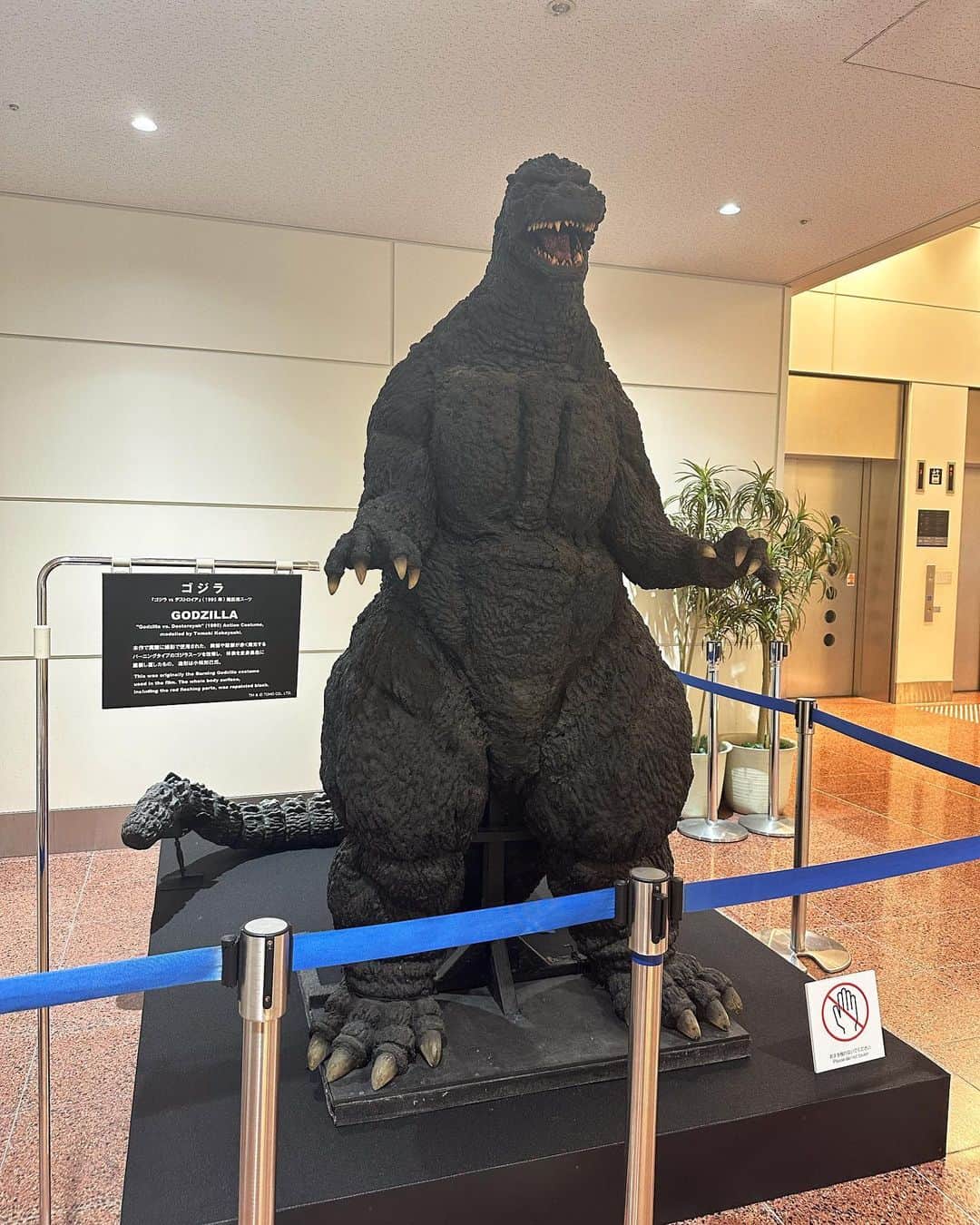 星那美月のインスタグラム：「羽田空港✈️」