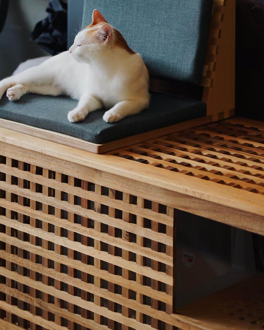 言身寸 in Tainan, Taiwanのインスタグラム：「「伴bàn」展品完成 透過將Ikea收納櫃改造成櫃式貓砂盒，為貓咪提供一個通透清爽且私密的如廁空間。櫃內設有貓砂盆和踩踏落砂區，減少貓砂的飛散。蓋板輕鬆掀開即可進行清理。而蓋板上附有一座特製小椅，可以穩固固定在格柵上當作穿鞋櫃，同時也能輕鬆取下當作和室椅使用。 - Design  @hiautue @skillabilitydept  - Fabrication @syubigbird  - #高雄市動物保護處  ◖ 伴家久－「伴bàn」友善動物品牌概念展 ◗ - ☗ 展覽日期： 112 年 11 月 25 日（六）至 112 年 12 月 10 日（日） - ☗ 展覽時間： 週一至週四 11:00 至 18:00；週五至週日 11:00 至 20:00 - ☗ 展覽地點： 駁二藝術特區大義C8-8倉庫（高雄市鹽埕區大義街2-1號） - 2023.11.17 #design #furnituredesign  #設計 #設計事務所 #傢俱 #家具 #家飾」