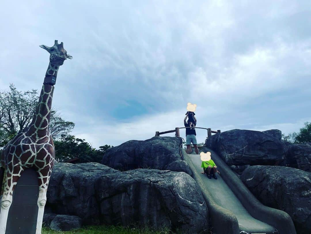 枡田絵理奈さんのインスタグラム写真 - (枡田絵理奈Instagram)「ライオンキングごっこ🦁  このロケーションを見たら、やらずにはいられない、劇団四季大好きな堂林家🦒  ちょっと前に行った #秋吉台サファリランド  にて🦒」11月17日 8時28分 - masuda_erina.official