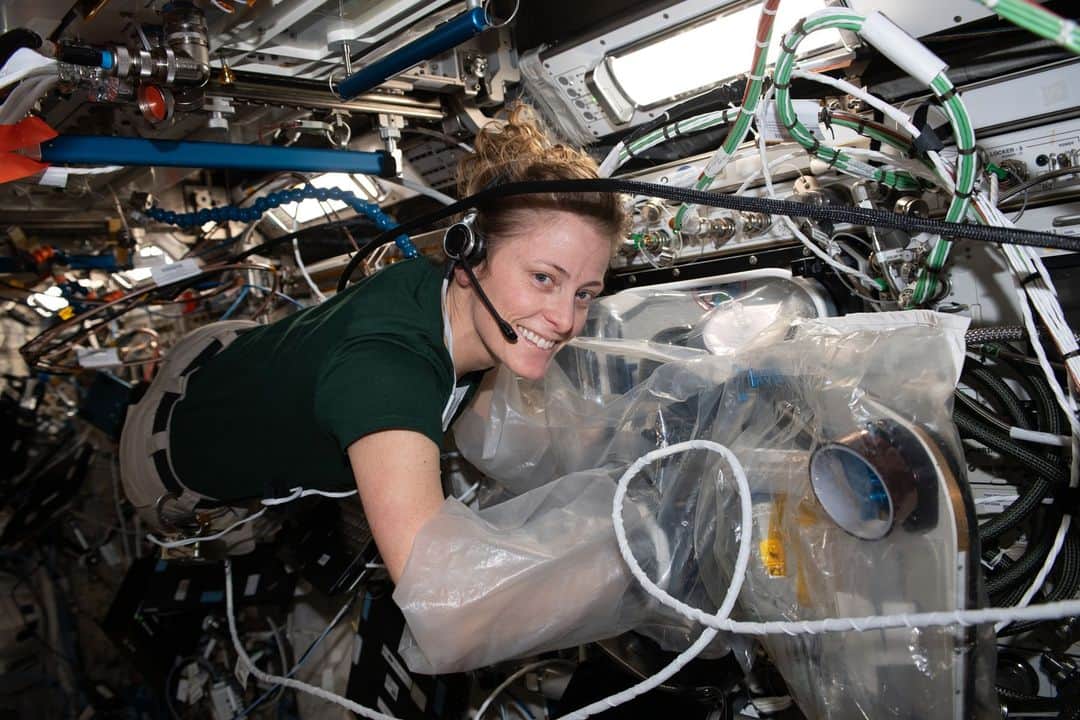 国際宇宙ステーションのインスタグラム：「NASA astronaut and Expedition 70 Flight Engineer Loral O'Hara uses a portable glovebag to replace components on a biological printer, the BioFabrication Facility (BFF), that is testing the printing of organ-like tissues in microgravity.  #nasa #astronaut #research #science #biology #microgravity #international #space #station」