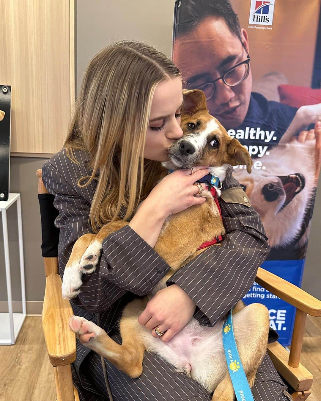 ジョーイ・キングのインスタグラム：「Meet Ember, one of the millions of deserving shelter pets who need our help. @Hillspet Nutrition is on a mission to help end pet homelessness and even if you aren’t ready to adopt yet, there are so many other ways to help shelter pets in need! Link in bio!! #HillsPartner #Ad」