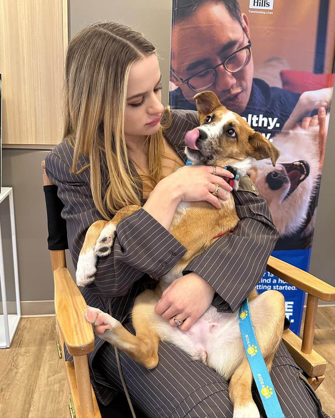 ジョーイ・キングさんのインスタグラム写真 - (ジョーイ・キングInstagram)「Meet Ember, one of the millions of deserving shelter pets who need our help. @Hillspet Nutrition is on a mission to help end pet homelessness and even if you aren’t ready to adopt yet, there are so many other ways to help shelter pets in need! Link in bio!! #HillsPartner #Ad」11月17日 8時47分 - joeyking