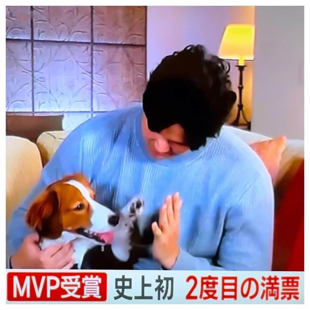 さだまさしのインスタグラム：「㊗️MVP🎊 満票で2回目のMVP受賞 大リーグ史上初🎉 本当に嬉しいニュースです❣️ . #大谷翔平 #mvp  #さだまさし #sadamasashi #コーイケルホンディエ #ハイタッチ」