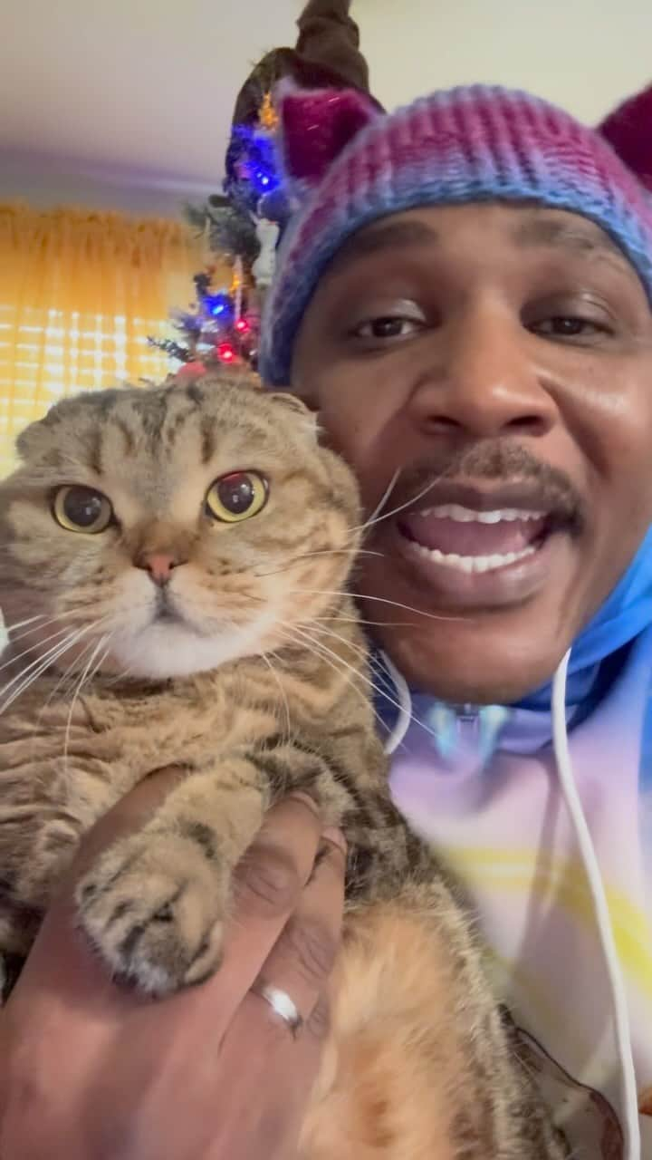 MSHO™(The Cat Rapper) のインスタグラム：「You know what time it is!! We BACK! The season is here!! We had thoughts of quitting and retiring but NAH WE AINT DONE YET! We just getting started!! Shoutout to all our cat people! Who’s excited for XMAS!!! Who putting their tree up SOON OR WHO HAS IT UP RIGHT MEOW!? We love you! 😺❤️🎄 #TheCatRapper #LilParmesan #Xmas #MerryChristmas #HappyHolidays #MerryXmas #CatDad #CatMom #MoGang」