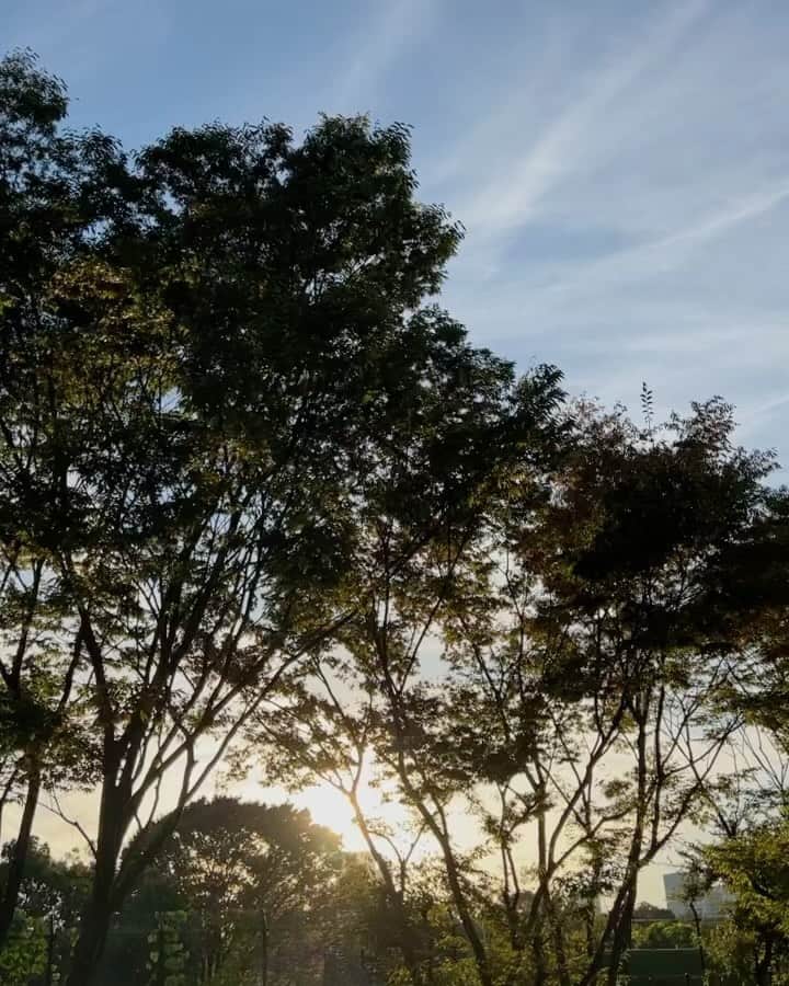 舞雛かのんのインスタグラム：「✨💫🍃」