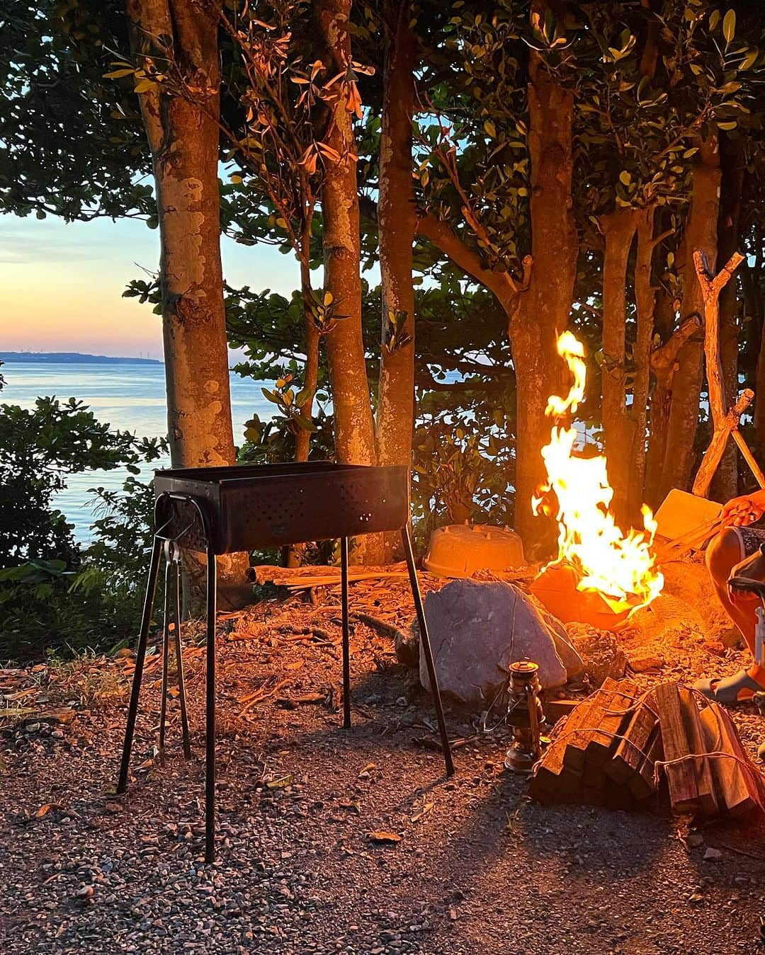 高松いくさんのインスタグラム写真 - (高松いくInstagram)「嬉しかった〜🥺  沖縄3週間の旅行のお仕事最終日🌺 私が明日帰ると知り BBQ🍖のお誘いをしてくださり こんな演出まで(´༎ຶོρ༎ຶོ`) 温かいおもてなしに感無量でした(´༎ຶོρ༎ຶོ`)  備瀬の海🌊夕焼け🌆をバックに 三線の演奏に焚き火にもずくのアレンジや 最後にティー🫖とデザートまで😳  凄いです！！ さすがおもてなしのプロ🏨 @okinawamangoojii  マンゴーオジー🥭 ありがとうございました❗️  また遊びに行きますヽ(´▽｀)/ っというか 12月6-7日フクギ並木に早々に帰ります🤣✈️🌺  #沖縄 #おもてなし #本部町 #備瀬のフクギ並木  #マンゴー  #最後の晩餐  #bbq #焚き火　#夕焼け　#ライトアップ」11月17日 9時42分 - iku_takamatsu_trip_sup_yoga