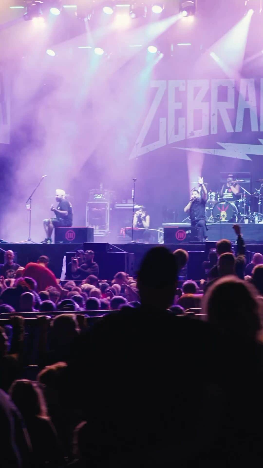 Zebraheadのインスタグラム：「Here’s some sweet footage from @openflair ! We love playing that festival! Party on!!!  #zebrahead #openflair #germany🇩🇪 #eschwege #festival #party」