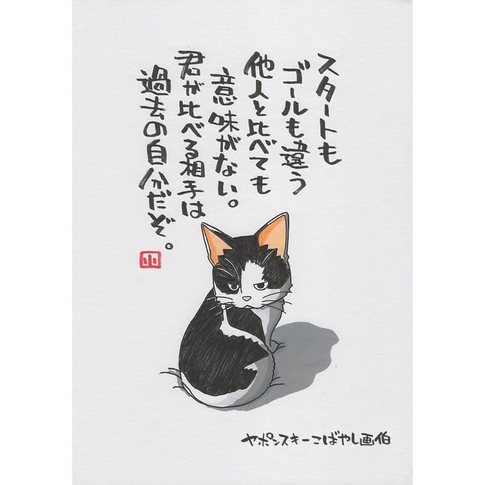 のインスタグラム：「けもの日和 今日はyuki_mさん家のネコ タルタルちゃんです。 女の子ですって。 まさに見返り美人 かわいいです。 ただ、こんなおしとやかな写真ですが 結構なおてんばなんですって。 文字通り ネコかぶってるところなんですね。 かわいいお写真ありがとうございます。  イラスト #ポエム  #イラストエッセイ #エッセイ #ヤポンスキー #ヤポンスキーこばやし画伯 #こばやし画伯 #芸人 #絵 #ポストカード #詩 #アート #言葉 #言葉の力 #人生 #生き方 #イラストグラム #イラストレーター #つぶやき #可愛い #前向き #ポジティブ #癒し #名言 #格言 #けもの日和」