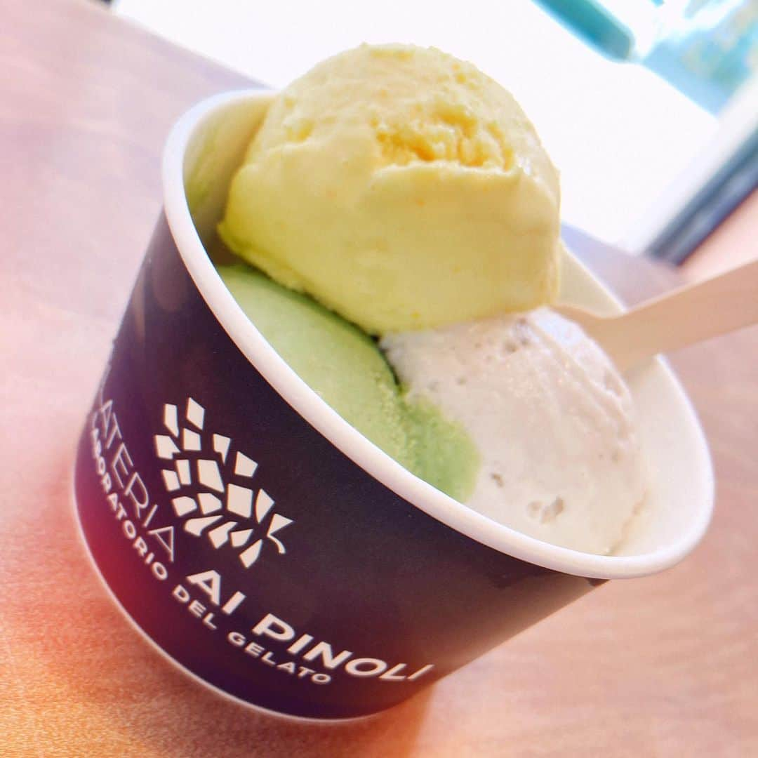 藤原絵里のインスタグラム：「・ ご馳走さまでした🍨 ・ @gelateria.aipinoli  ・ #ジェラテリアアイピノーリ #ジェラート #アイス部」