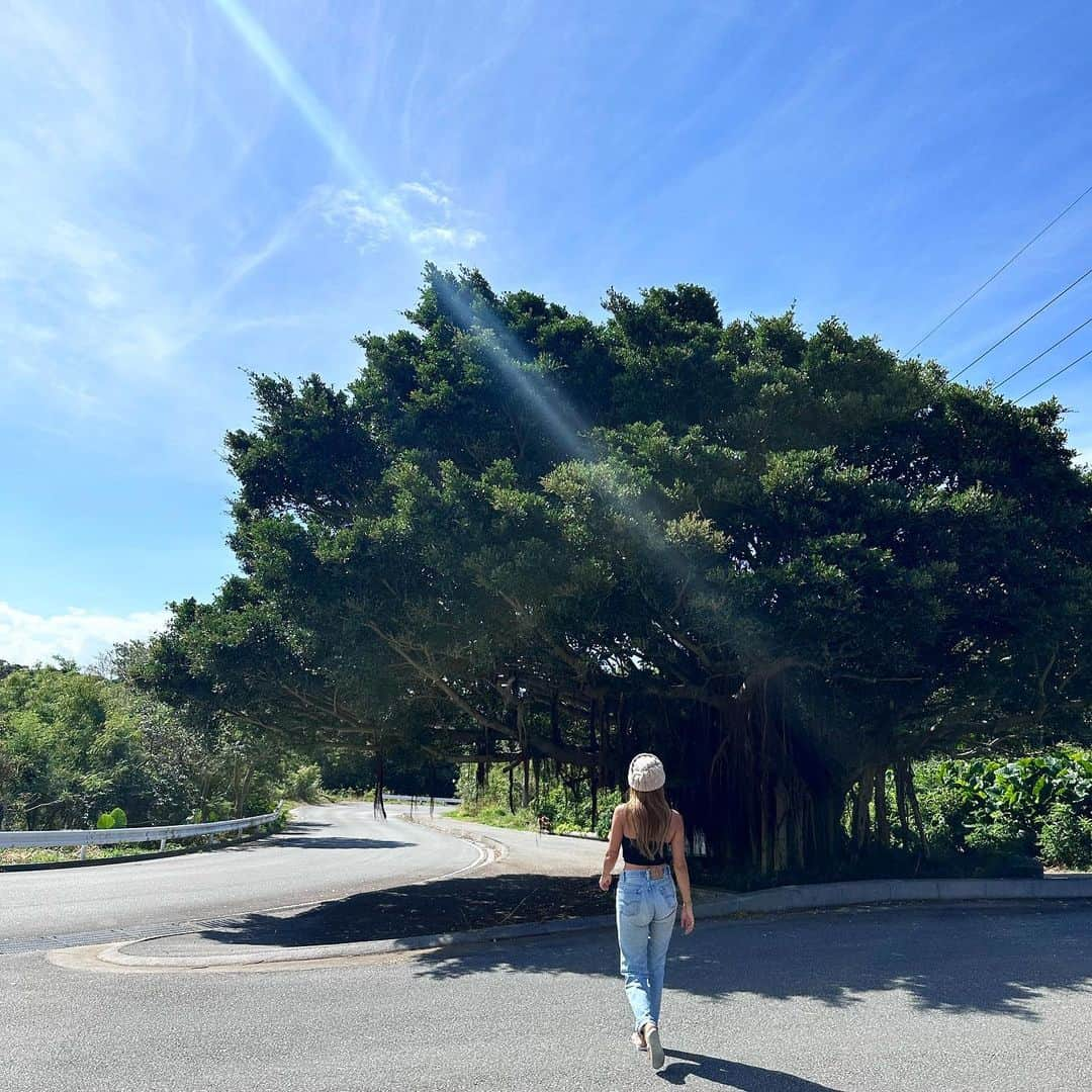 mianのインスタグラム：「ガジュマルと私🌲 久しぶりに大きいガジュマルみつけた🙋🏾‍♀️✨ パワーもらった感じする🤩✨  今日はひんやり何着よう🙄✨」