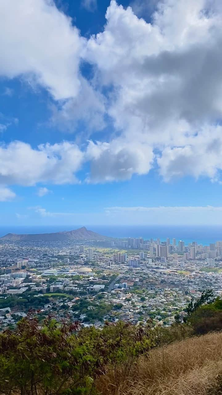 Aloha Street アロハストリートのインスタグラム：「今週のハワイ🌺🌴  📍ロイヤルハワイアンセンター 📍アラモアナセンター 📍タンタラスの丘 📍クアロアビーチパーク  今週のハワイの様子をリールにまとめました✨ ワイキキやアラモアナのクリスマスデコレーションやタンタラスの丘からの絶景などをお届け🎄 みなさま今週もお疲れ様です😌 また来週のハワイもお楽しみに🐬  (アカネ)  #アロハストリート #alohastreet #イマソラ #ハワイのイマソラ #ハワイ旅行 #ワイキキ#ハワイ好き #ハワイ好きな人と繋がりたい #ハワイ情報 #旅行好きな人と繋がりたい #旅行好き #hawaii #hawaiilife #honolulu #honoluluhawaii #waikiki #hawaiistagram」