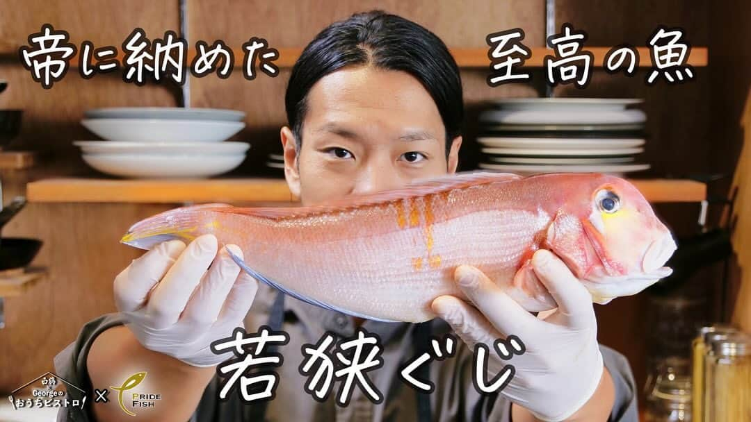 白鶴酒造株式会社さんのインスタグラム写真 - (白鶴酒造株式会社Instagram)「🐟 【帝に捧げた極上の魚 若狭ぐじ】シンプルな鱗焼きにGeorgeの腕が鳴る！  JF、プライドフィッシュとのコラボ！🐟 今回は福井が誇る若狭ぐじをGeorgeさんが 最高にうまい鱗焼きに仕上げました！  かつて帝に食材を捧げていた「御食国（みけつくに）」と 呼ばれていた若狭（福井県） アマダイは若狭ぐじと呼ばれ、その中でも 最高級食材のひとつとして知られ 白身で淡白な中にも味わいの深い、大変美味しい魚です。  鱗を落とさずに頂く、若狭焼き（鱗焼き）は シンプルだからこそシェフGeorgeの腕が鳴ります！ ぜひ、ポイントをご覧になり、ご自宅でもお試しください！  ◆PRIDE FISH「若狭ぐじ」 https://www.pride-fish.jp/JPF/pref/detail.php?pk=1433472614  ◆合わせたお酒「白鶴ブラン」 https://www.hakutsuru.co.jp/product/sake/ryutsu/blanc_720.html  【若狭ぐじの鱗焼き／レシピ】 ◆材料 ・若狭ぐじ（半身程度） ・大根　1/5本 ・チキンブイヨン ・セルフィーユ ・生クリーム  ◆作り方 １）若狭ぐじを3枚におろして塩をする ２）大根を適当な大きさにカットして面取りしたあと チキンブイヨンでゆっくりと煮込み、生クリームも入れる ３）ぐじを鱗焼きにする ４）大根が柔らかくなったら刻んだセルフィーユを 加え全てお皿に盛り込む  #白鶴 #さかなの日 #さかな料理部」11月17日 10時52分 - hakutsuru_official