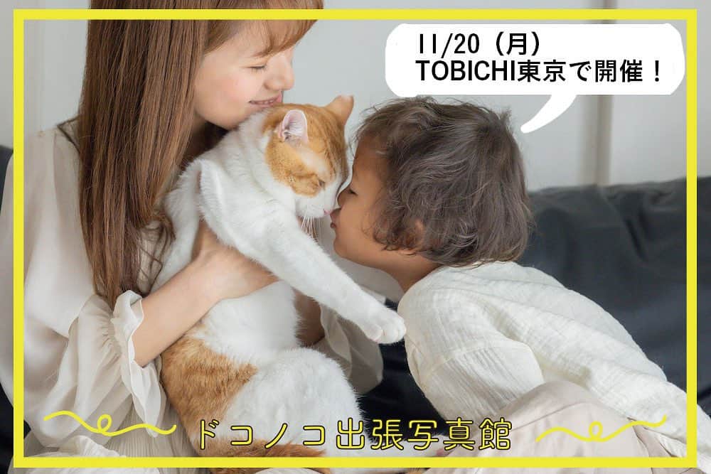 ドコノコのインスタグラム：「お知らせです！  東京のTOBICHIにて、 11/20（月曜　）平日ではありますが お試し出張写真館があります。 ご興味ある方は、 ぜひチェックしてみてくださいねー  https://www.dokonoko.jp/news/10325  #ドコノコ #dokonoko #dokonokoapp #犬 #いぬ #いぬすたぐらむ #いぬのいる暮らし #猫 #ねこ #ねこすたぐらむ #ねこのいる暮らし #ドコノコカレンダー #オリジナルカレンダー #dog #cat #doggos #fluffy #ほぼ日 #ほぼ日刊イトイ新聞 #hobonichi  https://www.dokonoko.jp/news/10325」