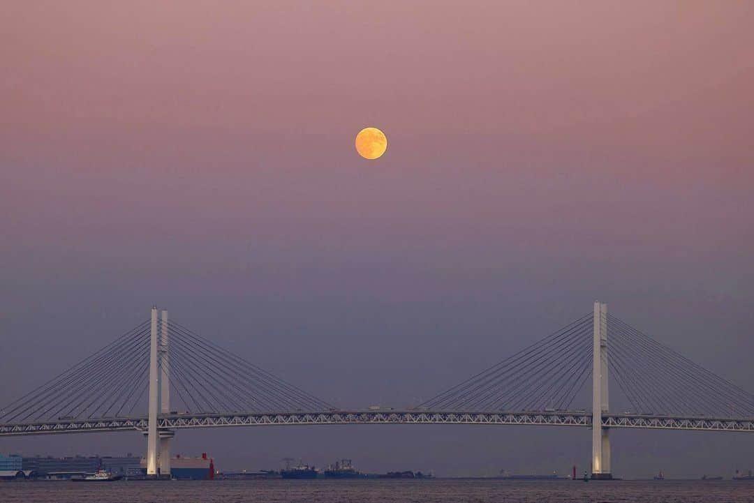 東京カメラ部 横浜分室のインスタグラム：「Photo by @oshimaf1.0 「横浜ベイブリッジ」 https://www.instagram.com/p/CxwFq-YyraQ/ . いいね！＆コメント大歓迎！ ※投稿に関するご注意・ポリシーは東京カメラ部に準じます。詳しくは下記をご覧ください。 https://fb.minpos.com/fb/willvii/camera_jpn/static/guideline . #みなとみらい線フォト散歩 #みなとみらい線フォトさんぽ #みなとみらい線 #横浜 #新高島 #みなとみらい #馬車道 #日本大通り #元町中華街 #yokohama #東京カメラ部 #Japan #photo #写真 #日本 Follow: @TCC.Yokohama . ※各種法令、マナー、関係者の指示に従った撮影をお願いします。 *Please ensure that your photography adheres to all relevant laws, etiquette, and instructions issued by authorized persons.」