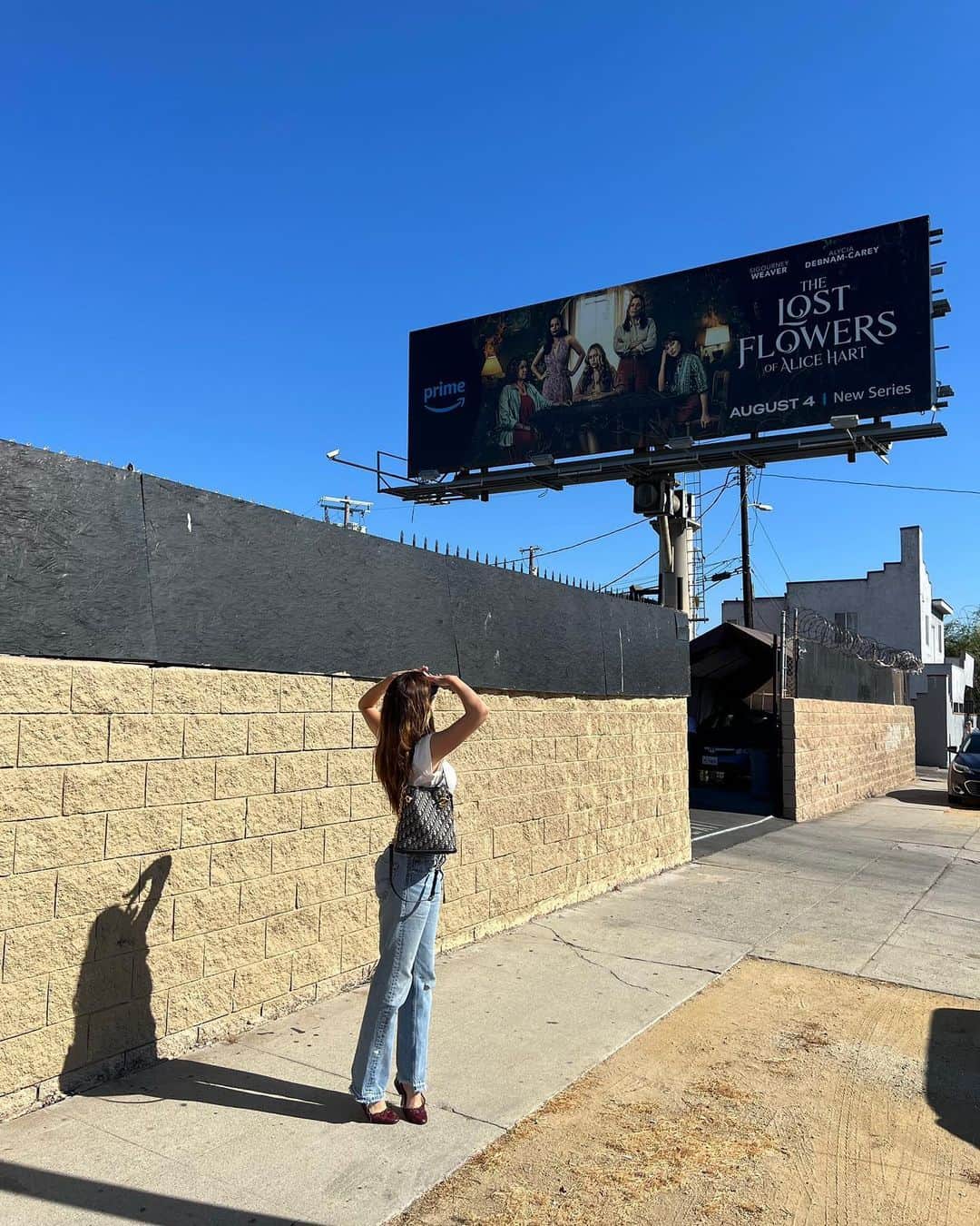 アリシア・デブナム・キャリーのインスタグラム：「Billboard in LA 🥹 #thelostflowersofalicehart   @primevideoaunz」