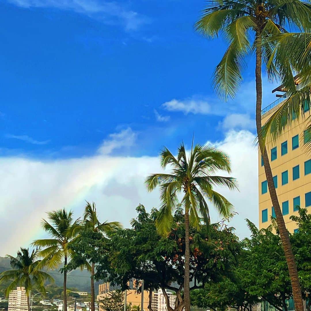 マキ・コニクソンのインスタグラム：「ヤッホー！ ハワイは最近雨が降ったり止んだり…  と言う事は🌈と逢えるチャンスがある！  No Rain No Rainbow この意味を知っていますか？ 私が大好きな言葉。  雨が降らなければ虹は出ないから 雨という 試練があってこそ、 美しい虹を見るというハワイの”こと わざ” なんですよ。  “これから良いことがきっと起きるよ、  そのための雨なんだよ” 時にはつらい思いをしたり、 涙を流したりすることは あっても、 その後には、きれいな虹が出るんだよ。  とっても素敵な意味があるんだね。 だから🌈を見ると、 何とも考え深い気分になるの。 もちろん、いい意味だよ。 だから誰にとっても虹ちゃまは スペシャルな存在なんだね。  私は、迷信とか”ことわざ”とか めちゃくちゃ信じる。 前にも言ったけど、 “信じる者は救われる” 😁😁 やっぱり、素直が一番！  #エアハワイ🌺  #ハッピーレインボーのおすそ分け🌈  #虹のことわざ #No Rain No Rainbow」