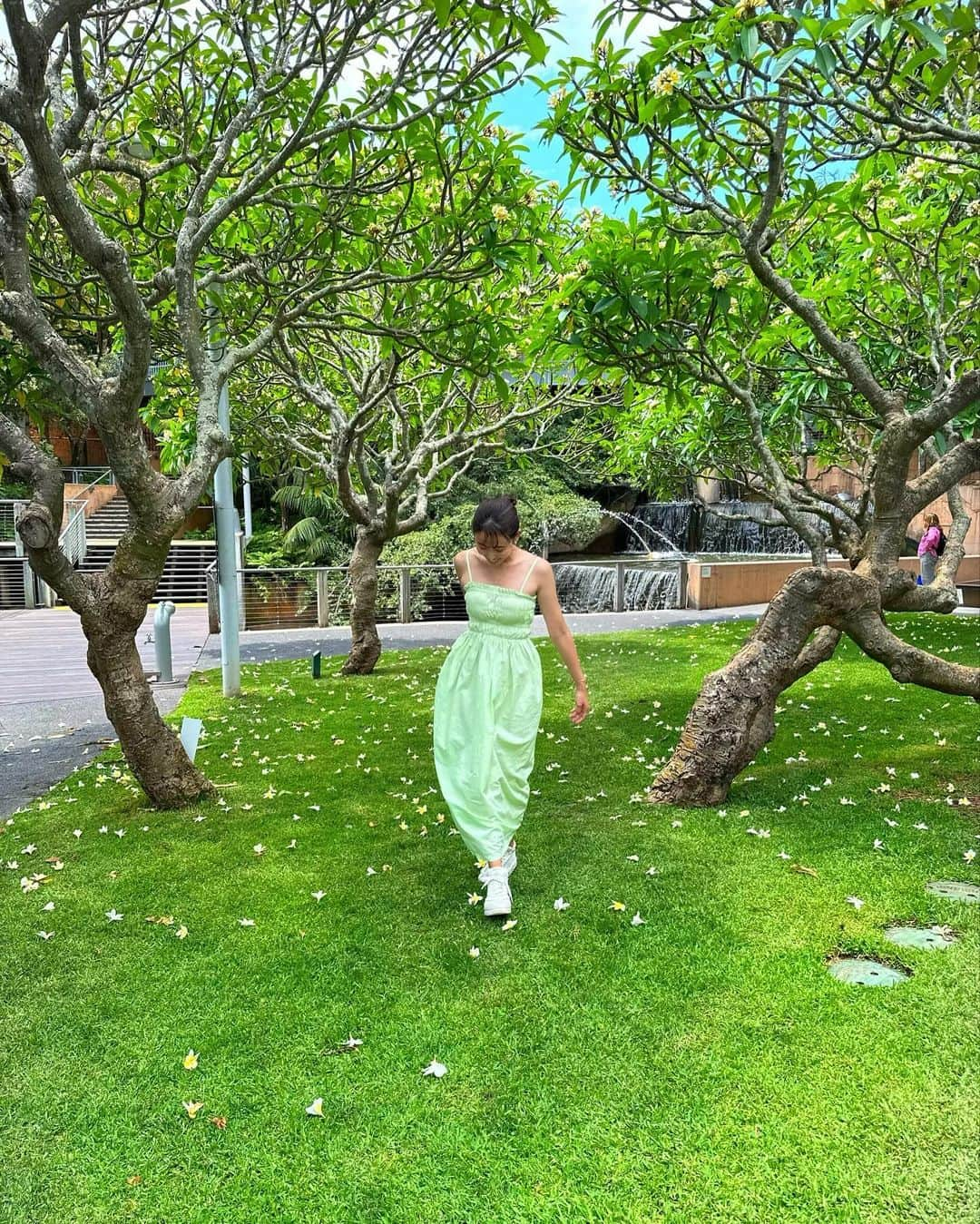 泉玲菜のインスタグラム：「. . 🪽🇦🇺roma street parkland🇦🇺🪽 . . #natural  #park  #australianshepherd」