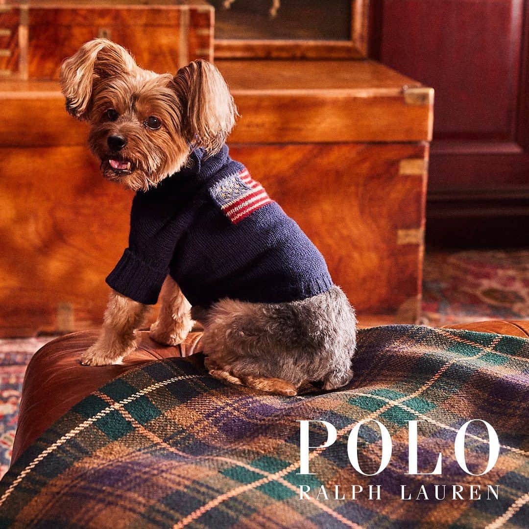 Caluluさんのインスタグラム写真 - (CaluluInstagram)「POLO RALPH LAUREN PET COLLECTION  ブランドの伝統的なスタイルと洗練されたデザインが融合されたペットコレクション。  オーナーさまとのお揃いコーディネートで、ペットとの絆を深めながら、おしゃれなスタイルを楽しんでください✨  日本未発売の新商品やカラーも豊富に揃えてます💜  小型犬、中型犬、大型犬まで幅広いサイズ展開です🐶 ※RALPH LAURENのサイズ規格ですので、必ず商品ページのサイズをご確認ください。  数に限りがございますので、お早めにチェックしてくださいね🛍️  レザー＆キャンバスキャリートート / Dogs Leather and Canvas Toteにつきましては、こちらの商品のみ受注販売になります。 【受注期間】 11月17日(金)11:00～11月30日(木)10:59まで 【発送時期】 12月下旬頃を予定  ——————————  Caluluオンラインショップは ▼プロフィールのlitlinkよりアクセス🎈 @calulu_dogwear   ——————————  #calulu #calulu_dogwear #カルル #カルルドッグウェア #カルルわんこの会 #カルルにゃんこの会 #わんこのいる生活 #わんこのいる暮らし #わんこ部 #いぬすたぐらむ #犬のいる暮らし #ralphlauren #poloralphlauren #ralphlaurendog #dogcollection #ラルフローレン #ラルフローレン犬服 #ペット服 #ペット用品 #ペットグッズ #小型犬服 #中型犬服 #大型犬服 #犬のお洋服 #オシャレ犬服 #おしゃれわんこ #新商品 #新発売 #newarrival #new」11月17日 11時53分 - calulu_dogwear