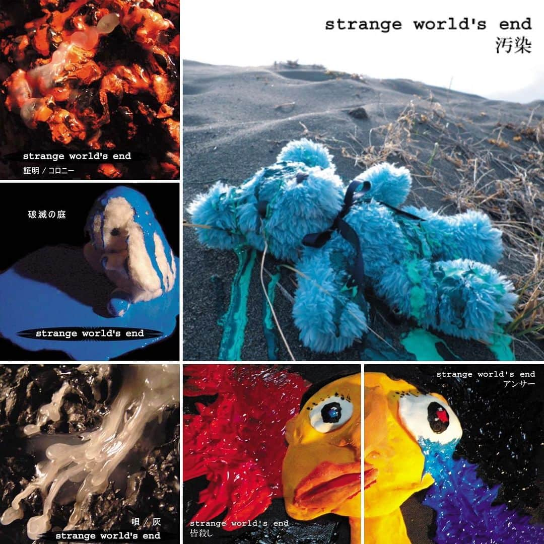 飯田カヅキのインスタグラム：「strange world's end、 2006〜2013年にリリースした音源が 配信委託している会社のサービス終了に伴い 各サイトから配信終了となりました。長い間ありがとうございました。このまま終了にするか、再配信するかはひとまず置いておいて、現在のメンバーでの音源を聴いてもらえたら嬉しいですね。よろしくお願いします。  #strangeworldsend #ストレンジワールズエンド #飯田カヅキ #kazukiiida #平マサト #masatotaira #フルカワリュウイチ #ryuichifurukawa #band #バンド #ミュージシャン #musician #itunes #applemusic #spotify #amazonmusic #youtubemusic」