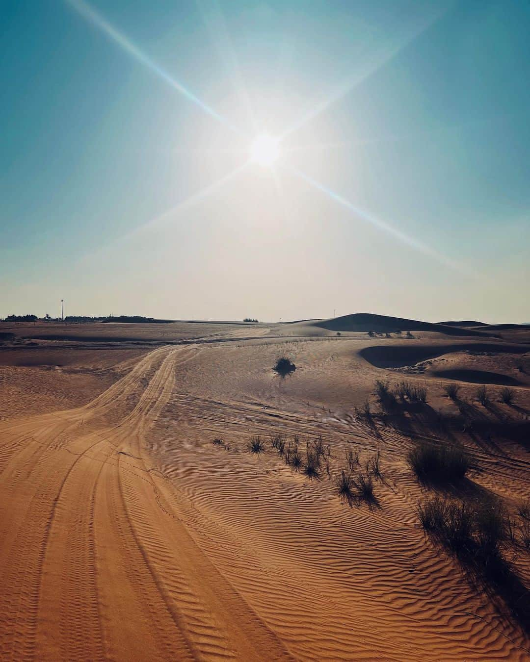 相知明日香さんのインスタグラム写真 - (相知明日香Instagram)「🏜️🐪☀️  ラクダさん可愛かった🥹 乗せてくれてありがとう🐪☀️💛  •┈┈┈••✦☪︎✦••┈┈┈•┈┈┈••✦☪︎✦••┈┈┈•  🇦🇪 𝘿𝙪𝙗𝙖𝙞, 𝙐𝘼𝙀  •┈┈┈••✦☪︎✦••┈┈┈•┈┈┈••✦☪︎✦••┈┈┈•  #Dubai #UAE #MiddleEast #UnitedArabEmirates #🇦🇪 #businesstrip #trip #travel #violinist #artist #travelblog  #travelphotography #desertsafari #desert #旅するヴァイオリニストinUAE #ヴァイオリニスト #バイオリン #海外旅行 #旅 #旅行 #中東 #アラブ首長国連邦 #ドバイ #ドバイ観光  •┈┈┈••✦☪︎✦••┈┈┈•┈┈┈••✦☪︎✦••┈┈┈•」11月17日 21時53分 - asukalohappy