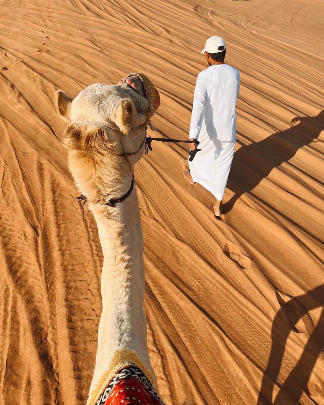 相知明日香さんのインスタグラム写真 - (相知明日香Instagram)「🏜️🐪☀️  ラクダさん可愛かった🥹 乗せてくれてありがとう🐪☀️💛  •┈┈┈••✦☪︎✦••┈┈┈•┈┈┈••✦☪︎✦••┈┈┈•  🇦🇪 𝘿𝙪𝙗𝙖𝙞, 𝙐𝘼𝙀  •┈┈┈••✦☪︎✦••┈┈┈•┈┈┈••✦☪︎✦••┈┈┈•  #Dubai #UAE #MiddleEast #UnitedArabEmirates #🇦🇪 #businesstrip #trip #travel #violinist #artist #travelblog  #travelphotography #desertsafari #desert #旅するヴァイオリニストinUAE #ヴァイオリニスト #バイオリン #海外旅行 #旅 #旅行 #中東 #アラブ首長国連邦 #ドバイ #ドバイ観光  •┈┈┈••✦☪︎✦••┈┈┈•┈┈┈••✦☪︎✦••┈┈┈•」11月17日 21時53分 - asukalohappy