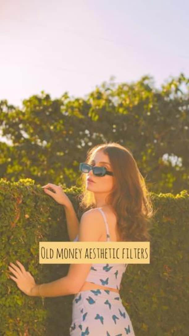 BeautyPlusのインスタグラム：「We've got that "old money" aesthetic vibe just waiting for you! 💰✨ #OldMoneyVibe #OldMoney #OldMoneyAestethic」