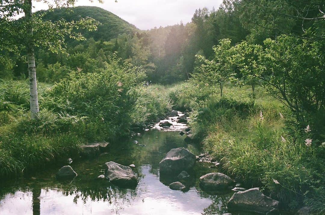 KIKIさんのインスタグラム写真 - (KIKIInstagram)「乗鞍高原に初めて行った夏の思い出写真 その二  ほぼ日から春に発売予定のyozoraのテント「kohaku」の撮影で夏に訪れた乗鞍 バスに乗って行く畳平もだけれど その入り口というか テントを張って撮影（許可をとって）した一の瀬園地なども 高原風情というのか 安易な言い方をすると天国みたいにきれいな場所だった  撮影でわたしがコーヒーを片手にテントの傍らに立つ 池の向こうに撮影隊 そっちの絵もすてきだなぁとぼんやりしつつ ドローンを飛ばしたりもしていたので しばしひとりで過ごす すこしだけ緊張した時間（うっかりあくびとかしてしまいそうで）  近くにキャンプ場もあるので 来夏はそこかなと思いつつ スタッフ皆で宿泊したヴィラのりくらの温泉も極上だったから そこにもまた泊まりたかったりする♨️ #leicampfilm #yozora #kohaku」11月17日 14時09分 - kiki_campagnepremiere