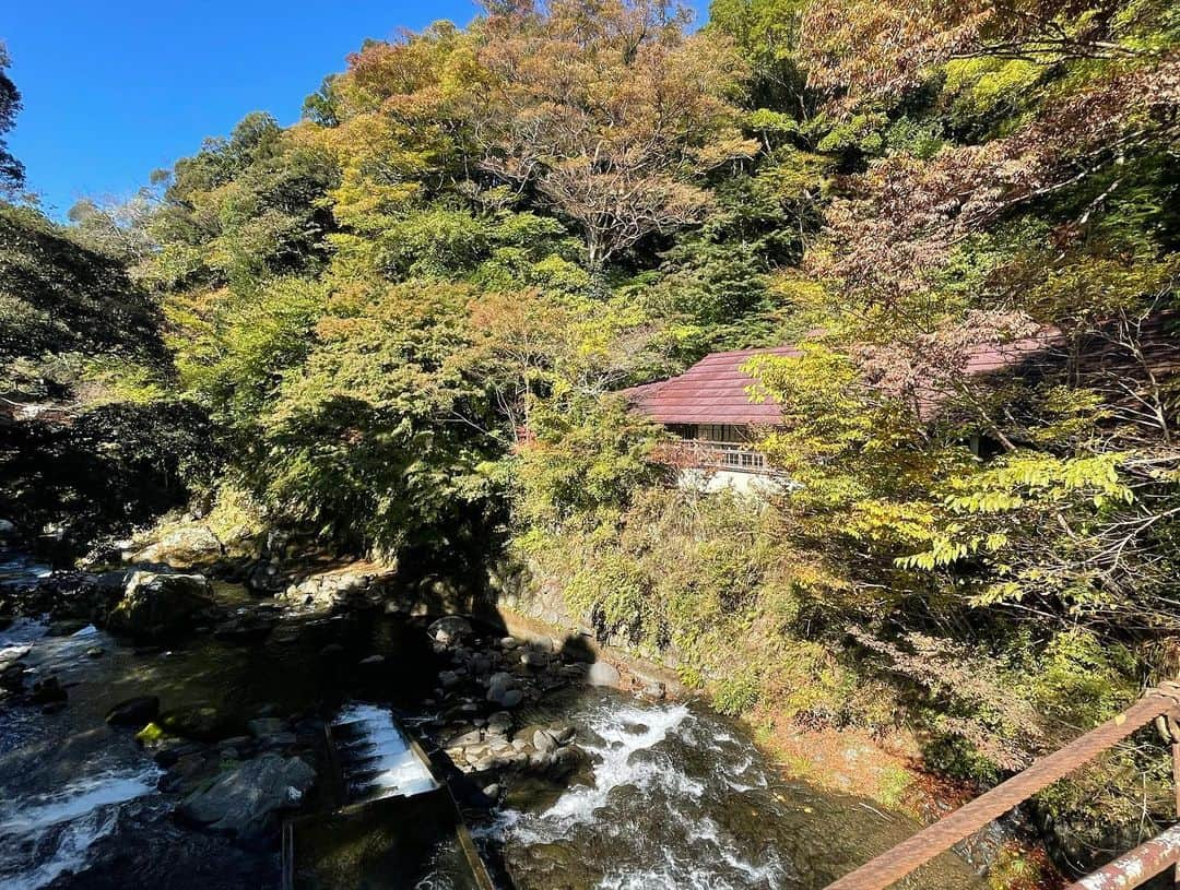 渕野右登さんのインスタグラム写真 - (渕野右登Instagram)「神々しい世界」11月17日 14時19分 - yutofuchino_official