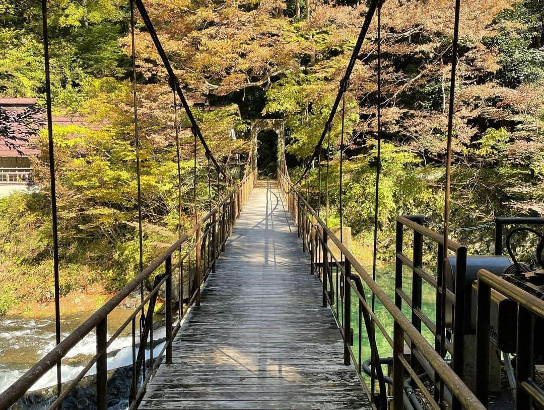 渕野右登さんのインスタグラム写真 - (渕野右登Instagram)「神々しい世界」11月17日 14時19分 - yutofuchino_official